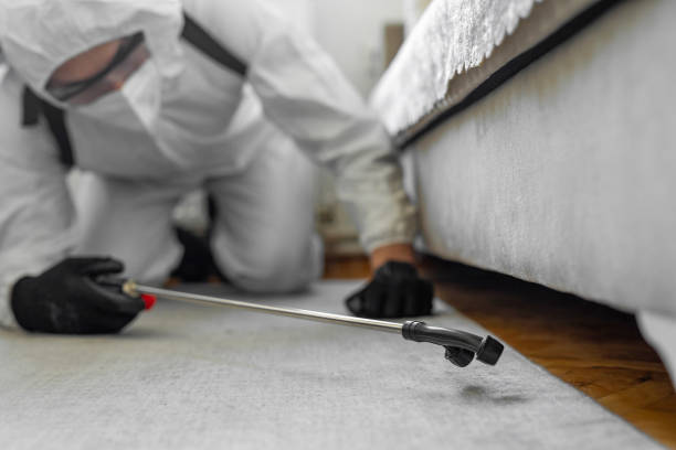 Professional Termite Control technician working in Clinton, TN