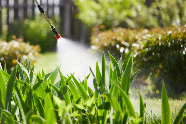 24/7 Emergency Termite Control experts in Clinton, TN