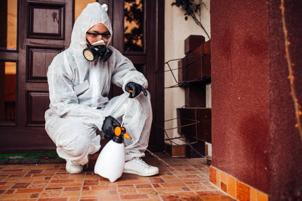 Reliable Termite Control contractor in Clinton, TN by Nex Pest Control