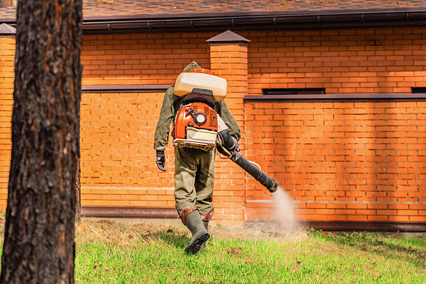 Top rated local Termite Control specialists in Clinton, TN